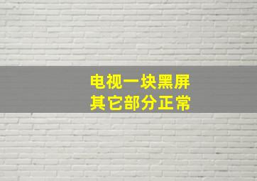 电视一块黑屏 其它部分正常